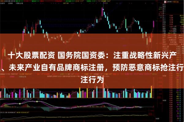十大股票配资 国务院国资委：注重战略性新兴产业、未来产业自有品牌商标注册，预防恶意商标抢注行为