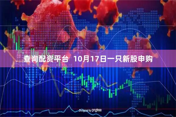 查询配资平台  10月17日一只新股申购