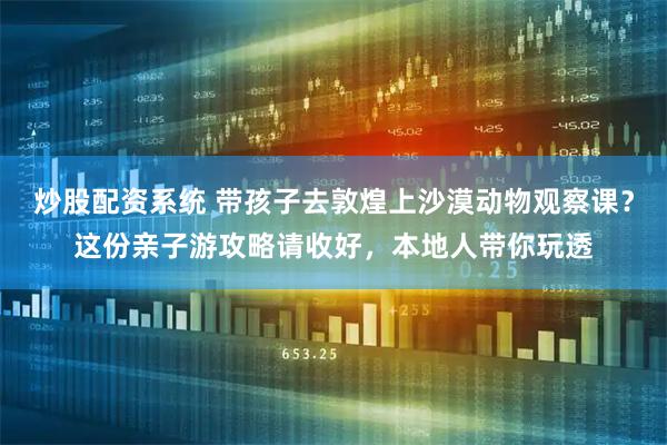炒股配资系统 带孩子去敦煌上沙漠动物观察课？这份亲子游攻略请收好，本地人带你玩透