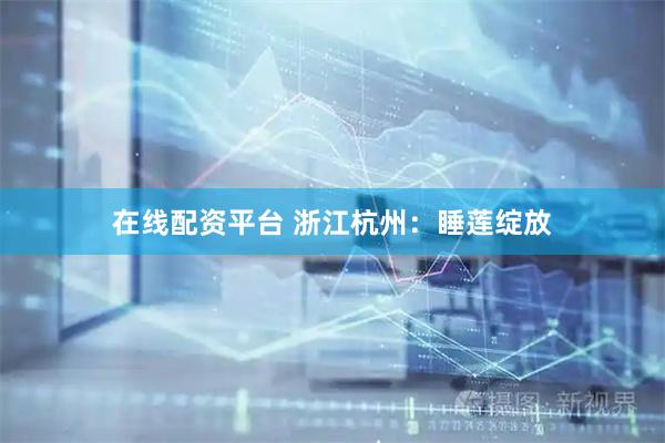 在线配资平台 浙江杭州：睡莲绽放